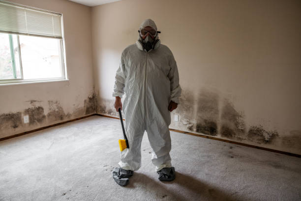 Best Emergency Mold Remediation  in Franklin, MI